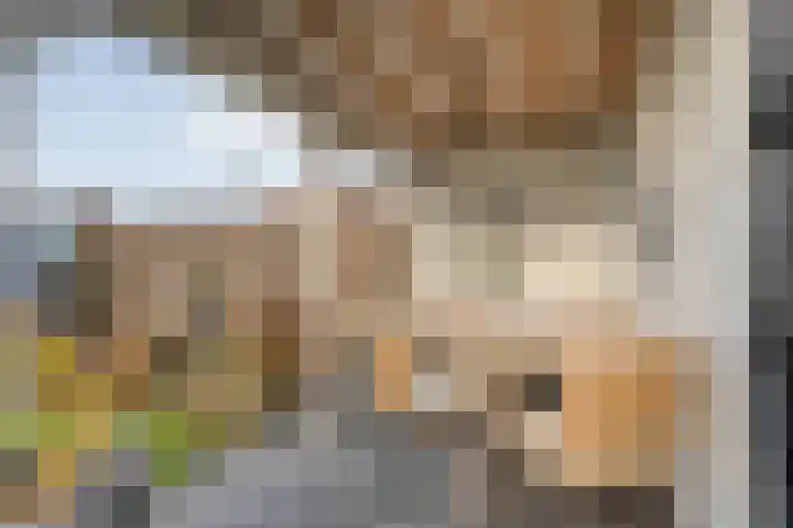 Oude Almeloseweg 21 Wierden thumbnail 33