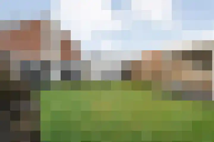 Oude Almeloseweg 21 Wierden thumbnail 35
