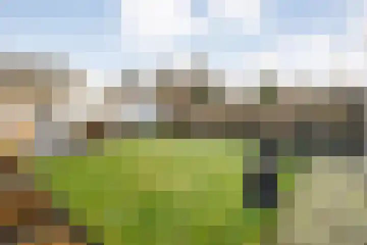 Oude Almeloseweg 21 Wierden thumbnail 36
