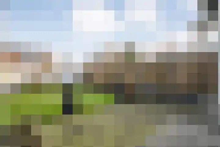 Oude Almeloseweg 21 Wierden thumbnail 37