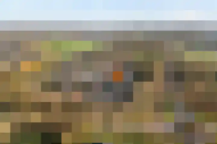 Oude Almeloseweg 21 Wierden thumbnail 39