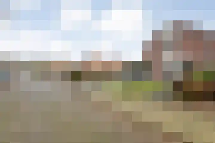 Oude Almeloseweg 21 Wierden thumbnail 41