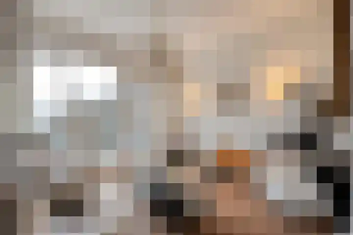 Oude Almeloseweg 21 Wierden thumbnail 9