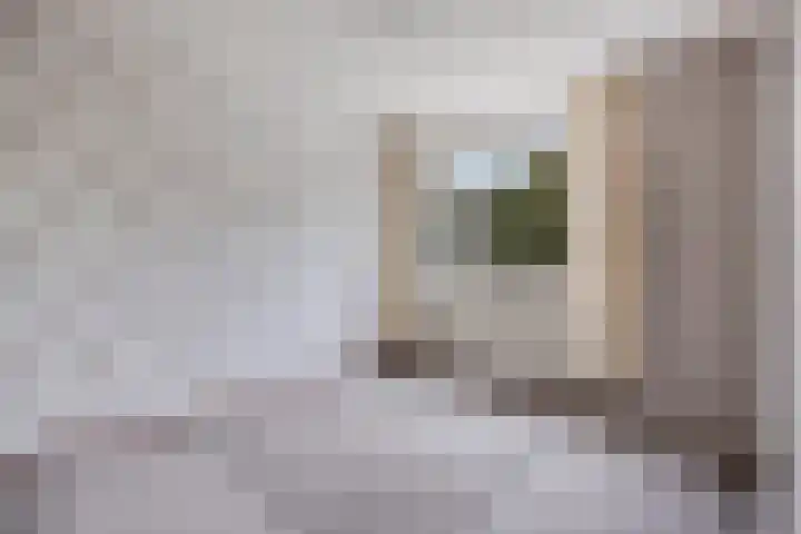 Oude Almeloseweg 71 Borne thumbnail 18