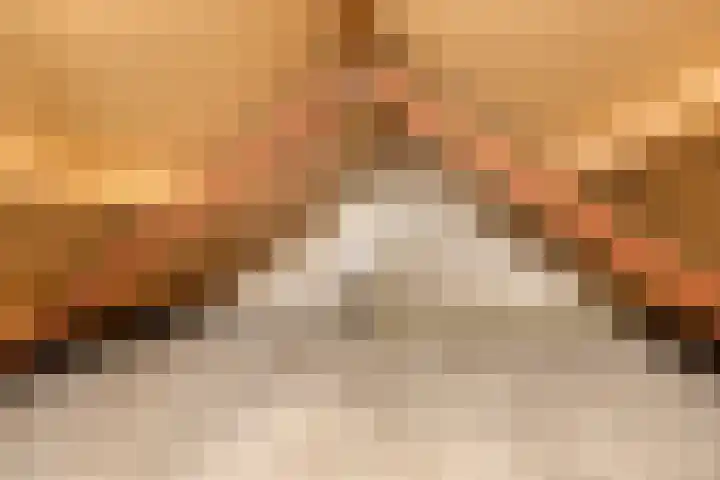 Oude Almeloseweg 71 Borne thumbnail 22