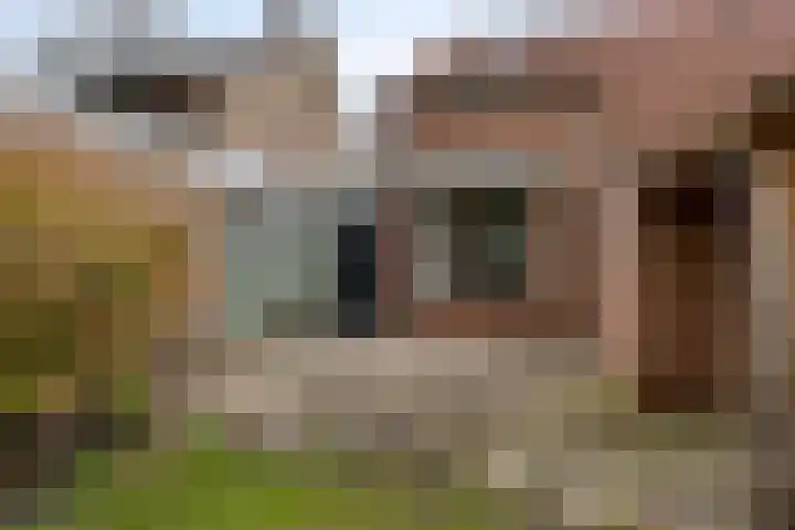 Oude Almeloseweg 71 Borne thumbnail 23
