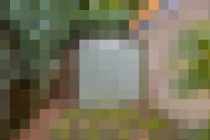 Oude Almeloseweg 71 Borne thumbnail 24