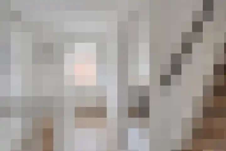 Oude Almeloseweg 8 Wierden thumbnail 18
