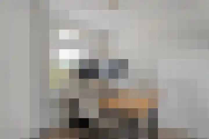 Oude Almeloseweg 8 Wierden thumbnail 24