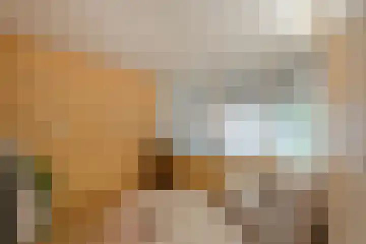 Oude Almeloseweg 8 Wierden thumbnail 31