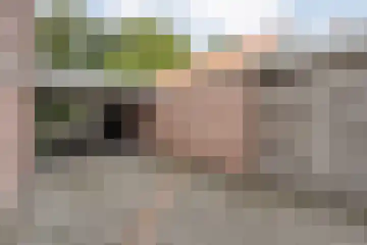 Oude Almeloseweg 8 Wierden thumbnail 34