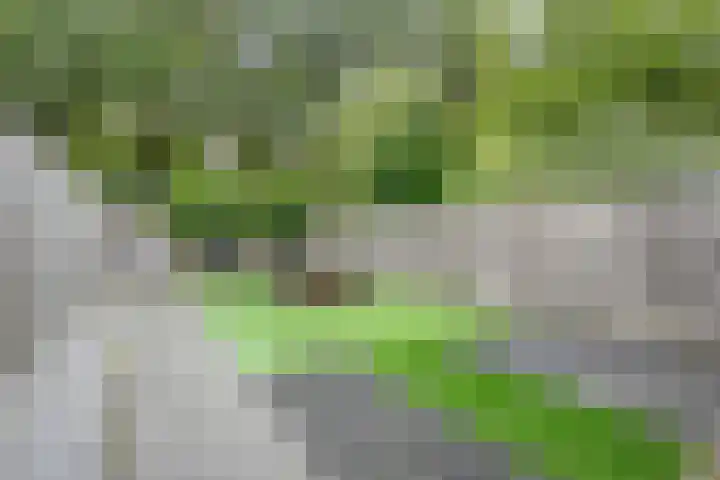 Oude Almeloseweg 8 Wierden thumbnail 36
