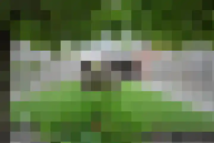 Oude Almeloseweg 8 Wierden thumbnail 39