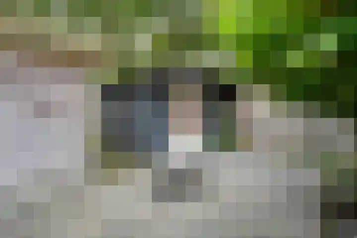 Oude Almeloseweg 8 Wierden thumbnail 40