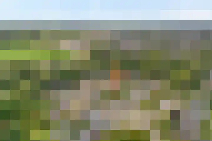 Oude Almeloseweg 8 Wierden thumbnail 44