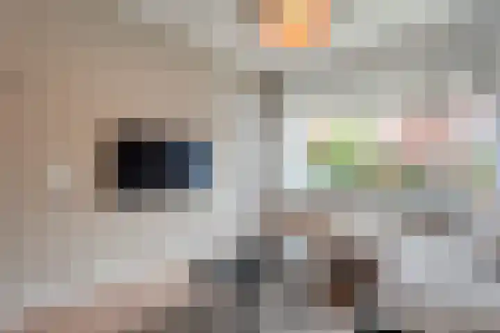 Oude Almeloseweg 8 Wierden thumbnail 6