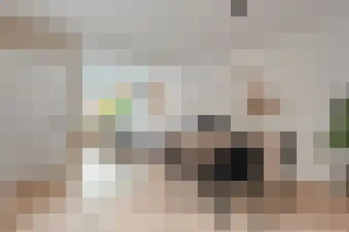 Oude Almeloseweg 8 Wierden thumbnail 9