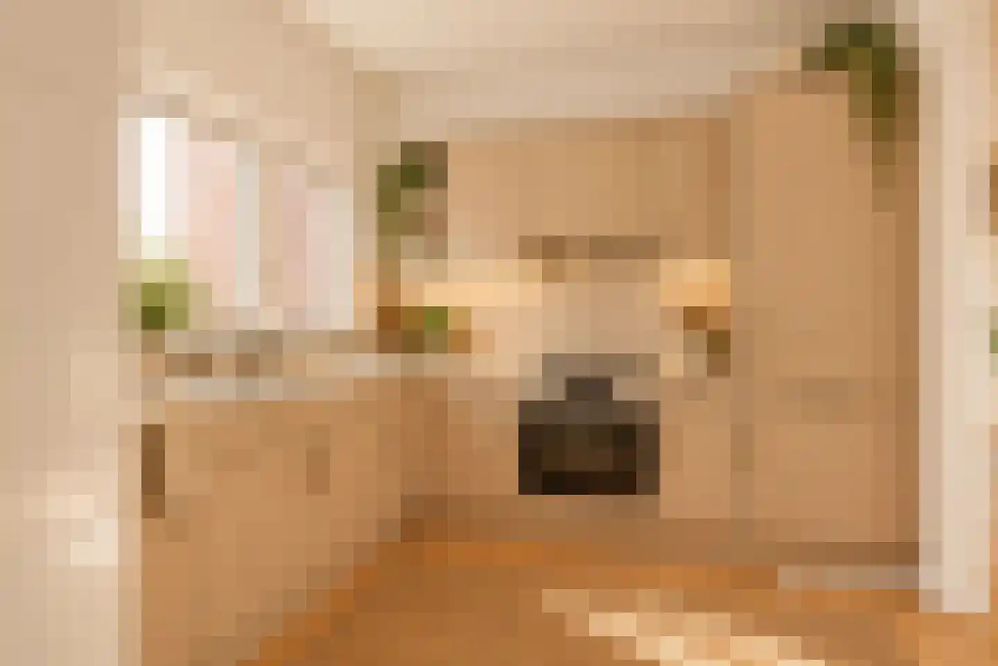 Oude Almeloseweg 9 Wierden thumbnail 19