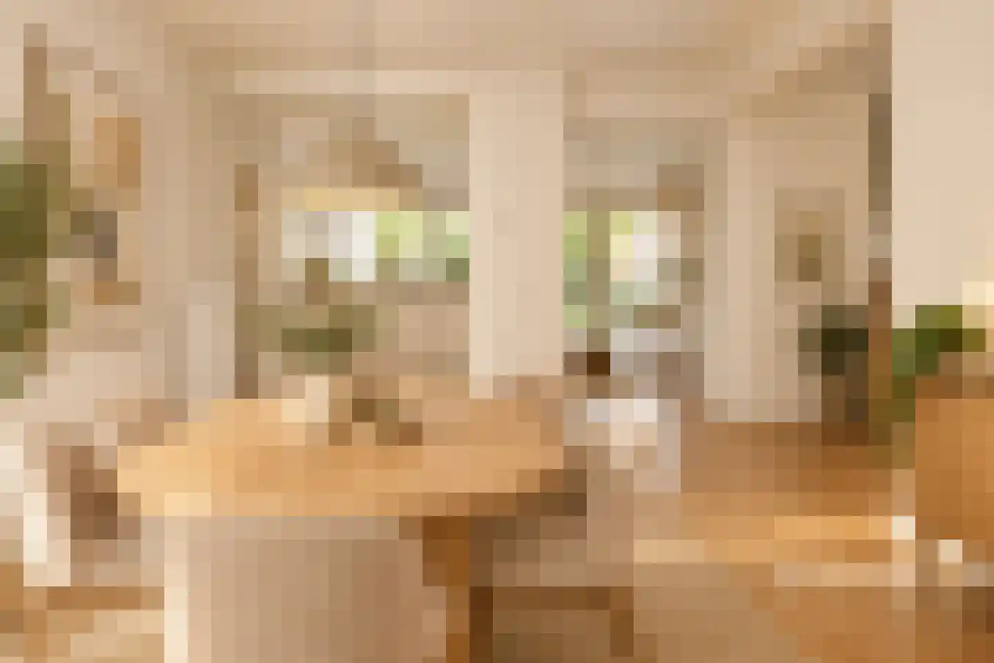 Oude Almeloseweg 9 Wierden thumbnail 4