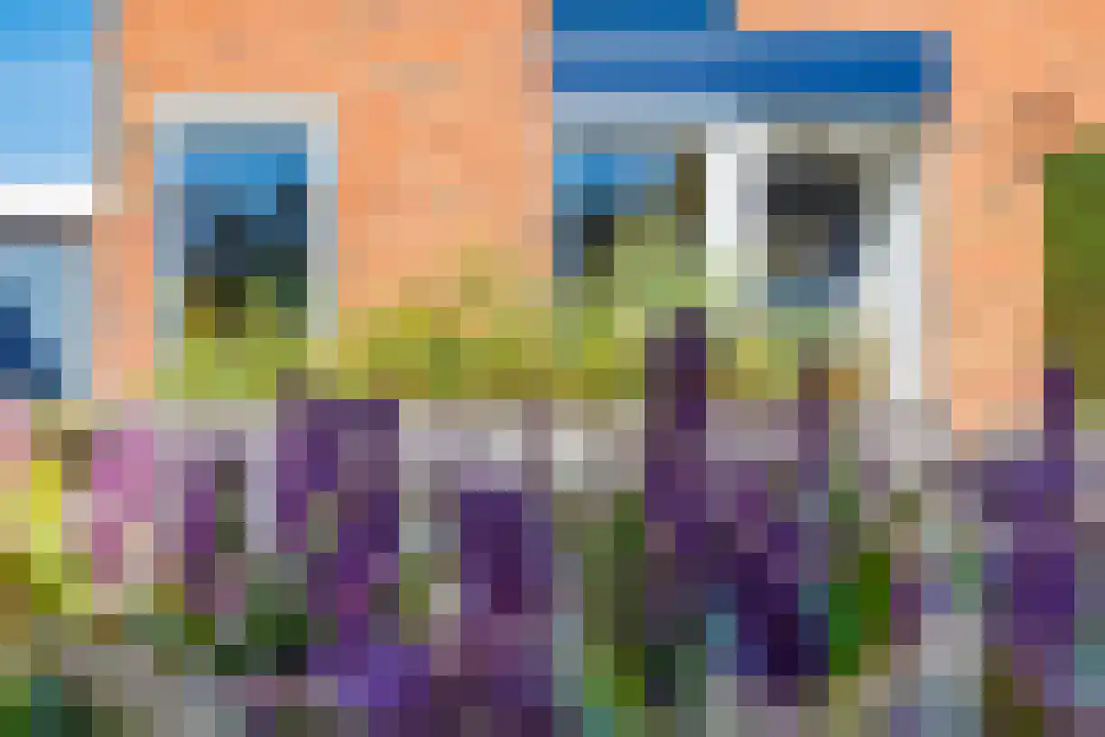 Oude Almeloseweg 9 Wierden thumbnail 9