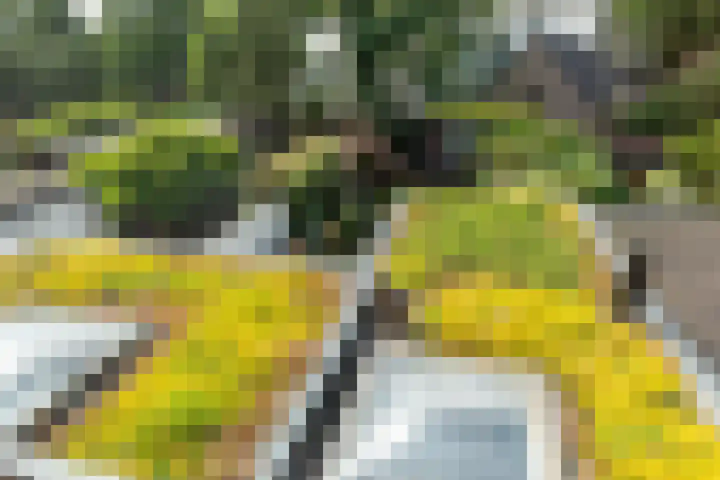 Oude Amersfoortseweg 14 Hilversum thumbnail 18