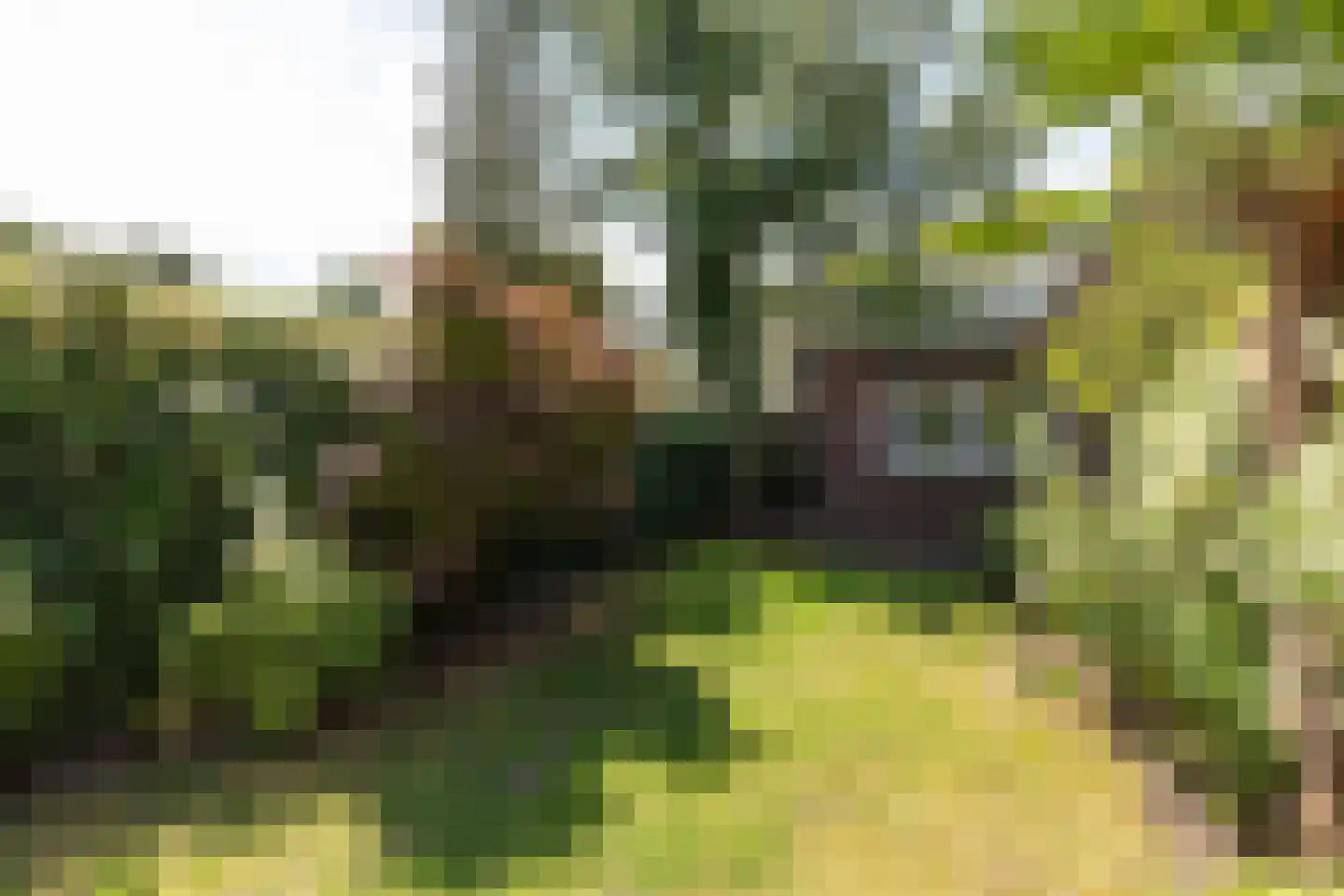 Oude Amersfoortseweg 14 Hilversum thumbnail 33