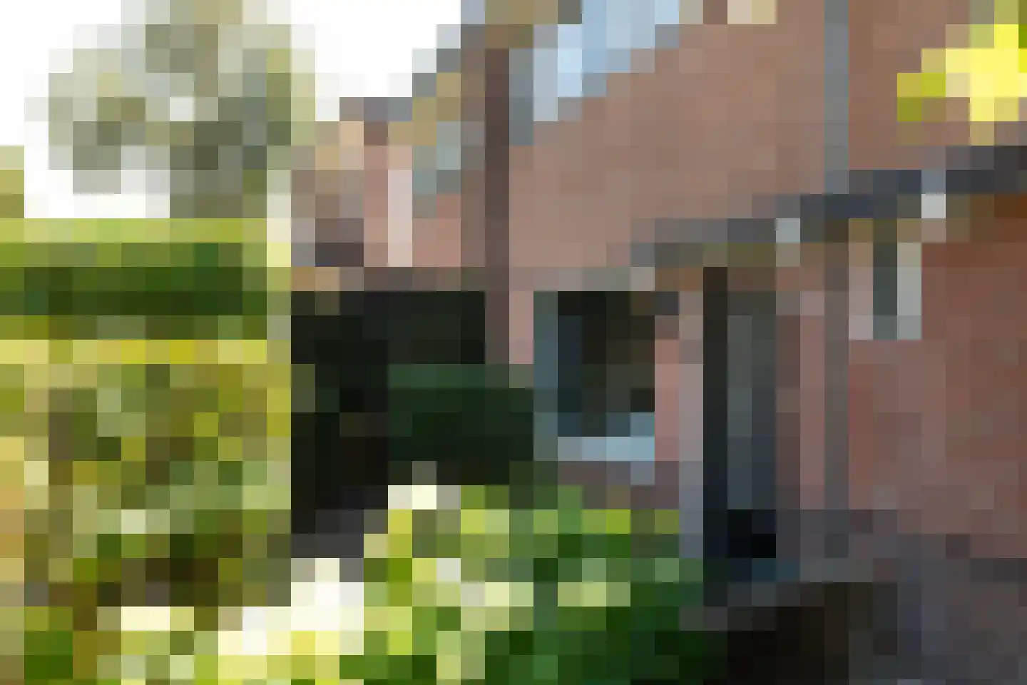 Oude Amersfoortseweg 14 Hilversum thumbnail 34
