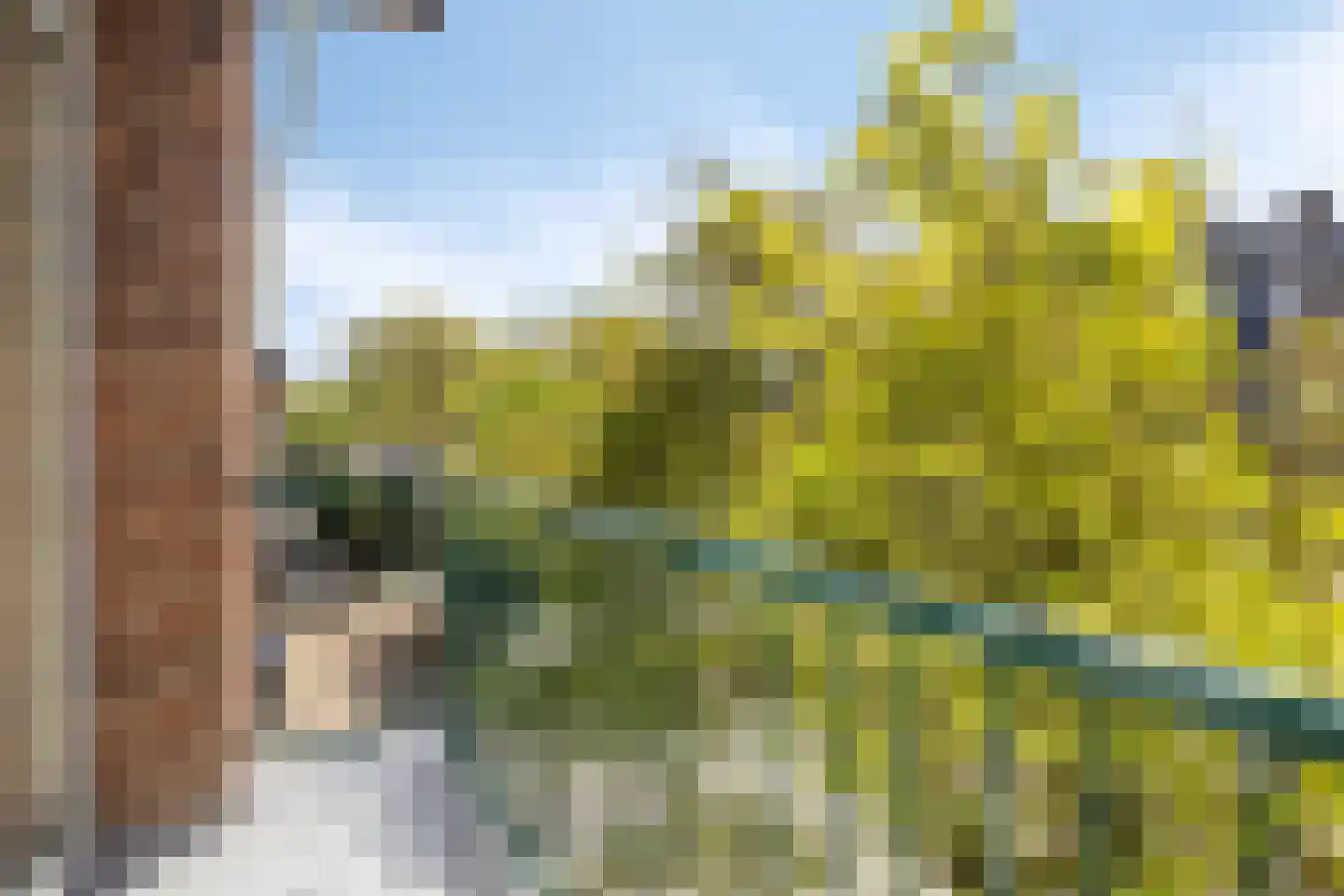 Oude Amersfoortseweg 245 Hilversum thumbnail 7