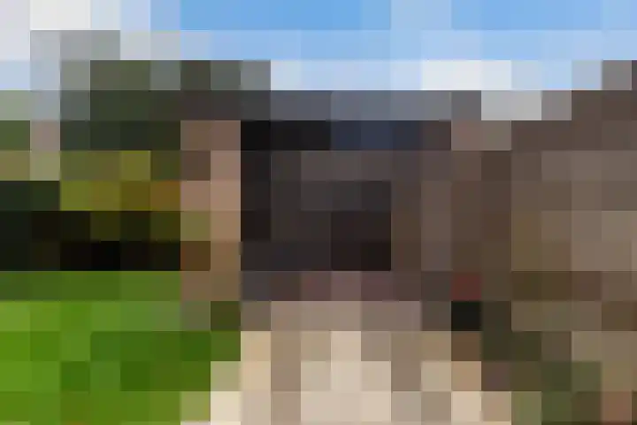 Oude Amersfoortseweg 50 Hilversum thumbnail 14
