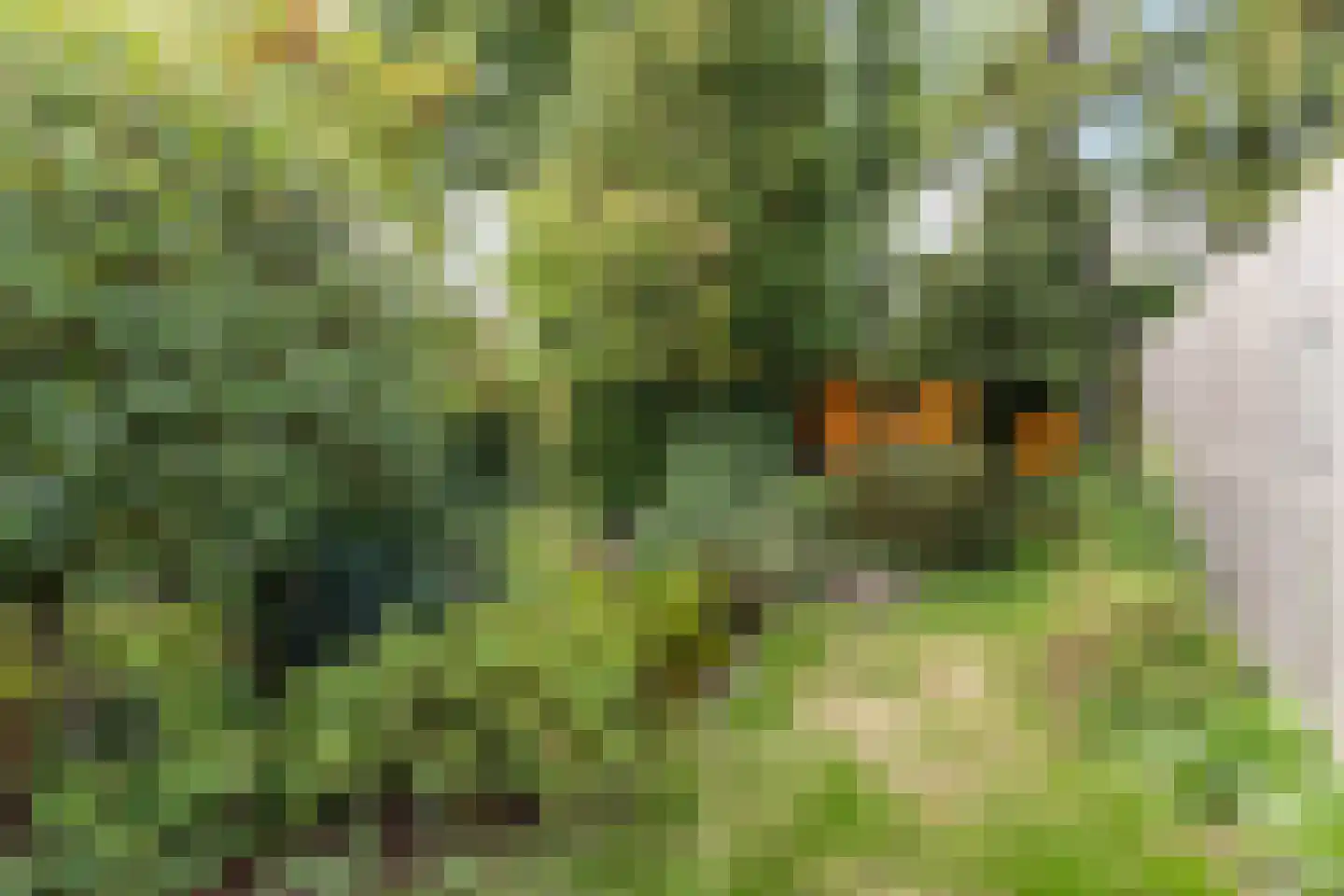Oude Amersfoortseweg 53 Hilversum thumbnail 29