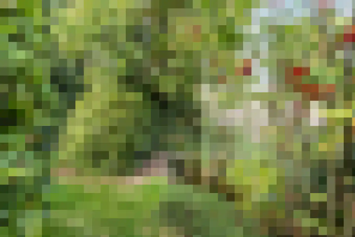 Oude Amersfoortseweg 53 Hilversum thumbnail 30