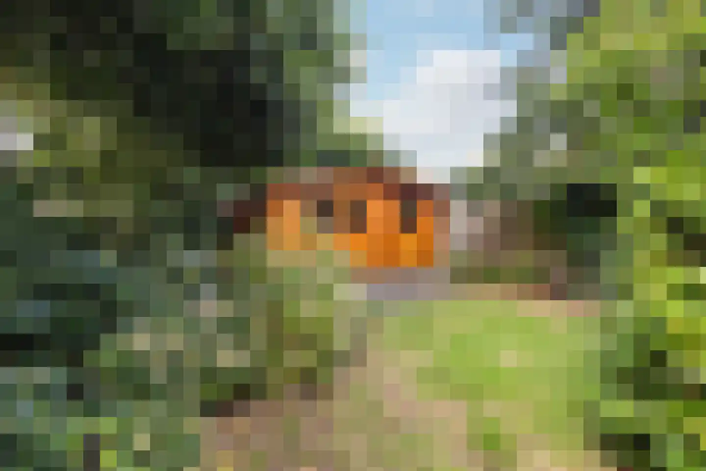 Oude Amersfoortseweg 53 Hilversum thumbnail 31
