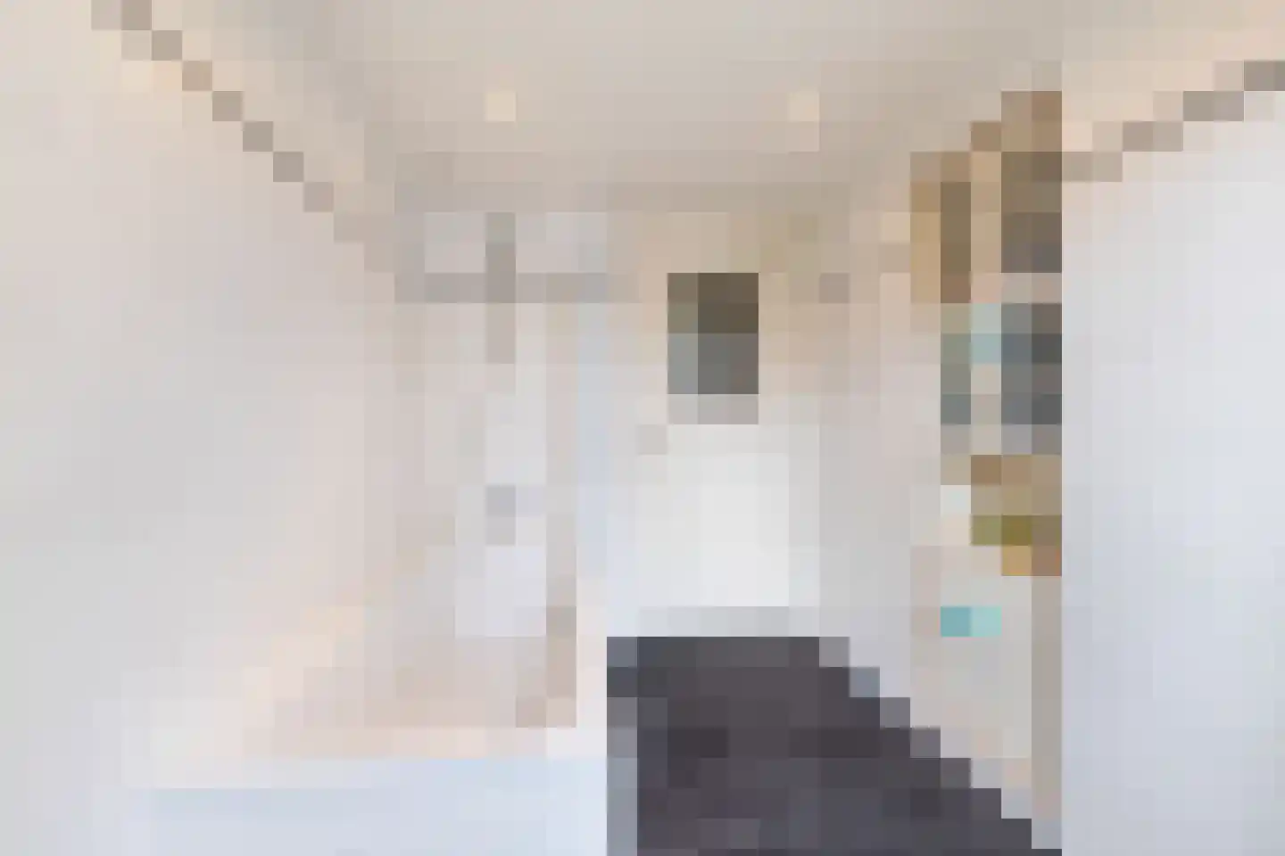 Oude Amersfoortseweg 53 Hilversum thumbnail 43