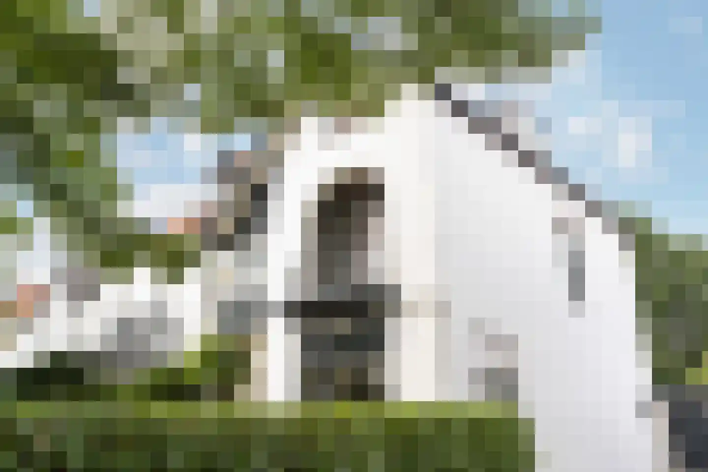 Oude Amersfoortseweg 53 Hilversum thumbnail 5