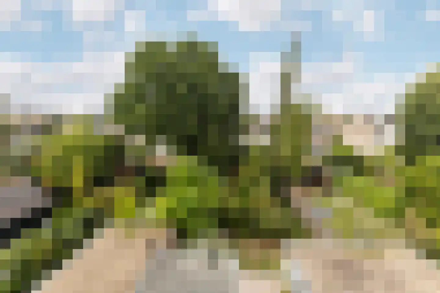 Oude Amersfoortseweg 53 Hilversum thumbnail 57