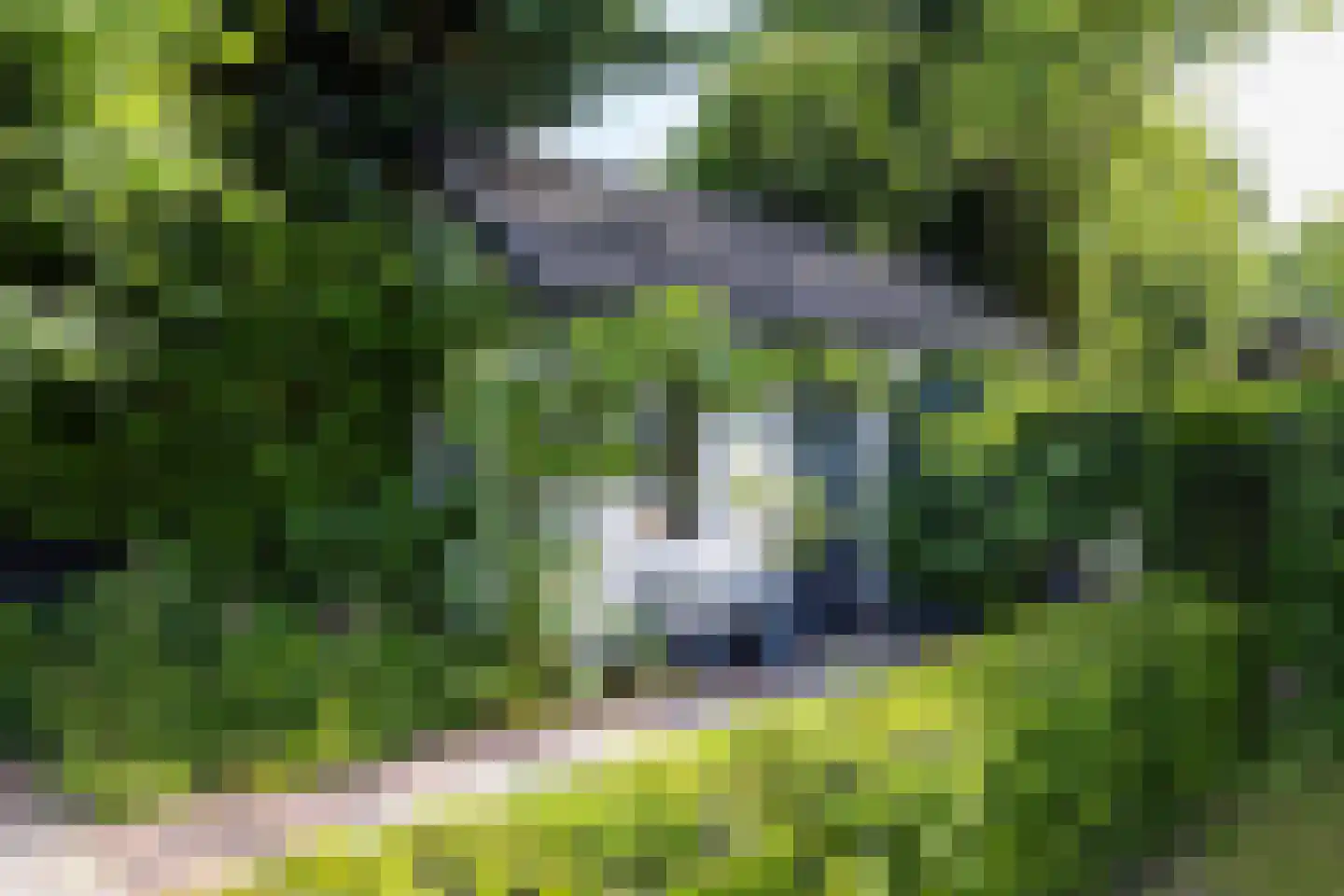 Oude Amersfoortseweg 69 Hilversum thumbnail 29