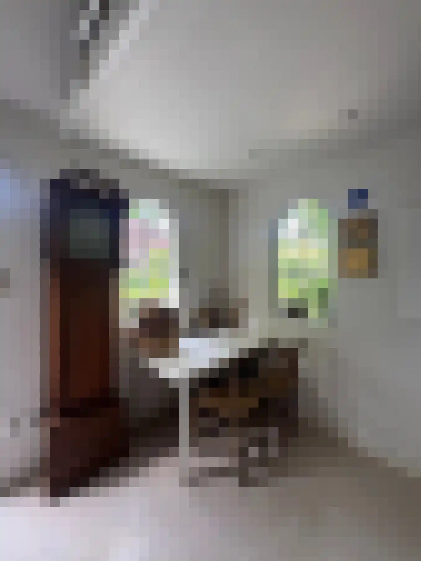 Oude Amersfoortseweg 69 Hilversum thumbnail 31