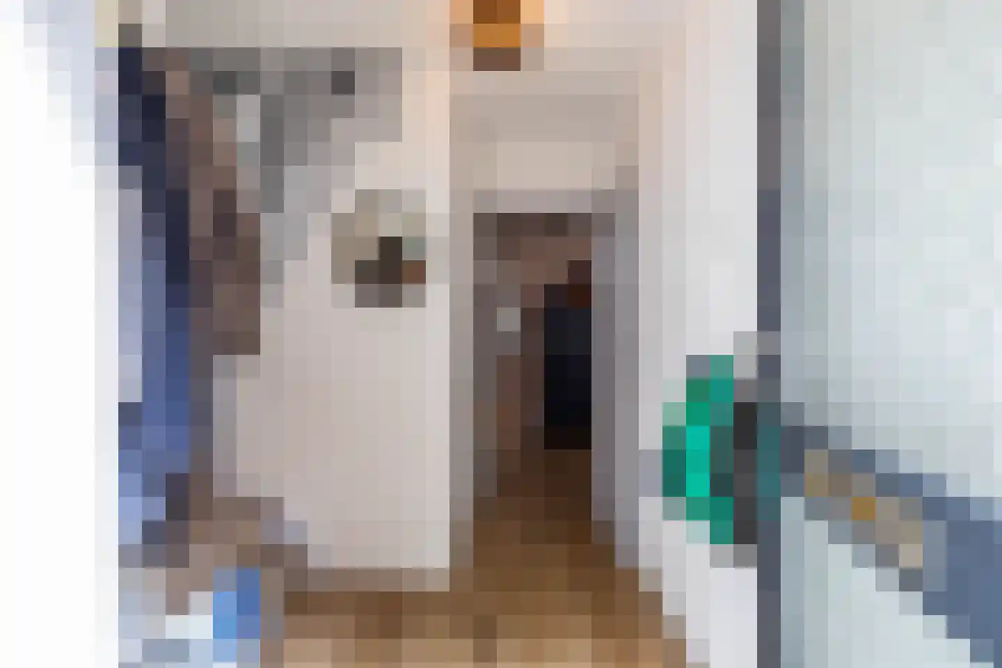 Oude Anloërweg 6 Zuidlaren thumbnail 14