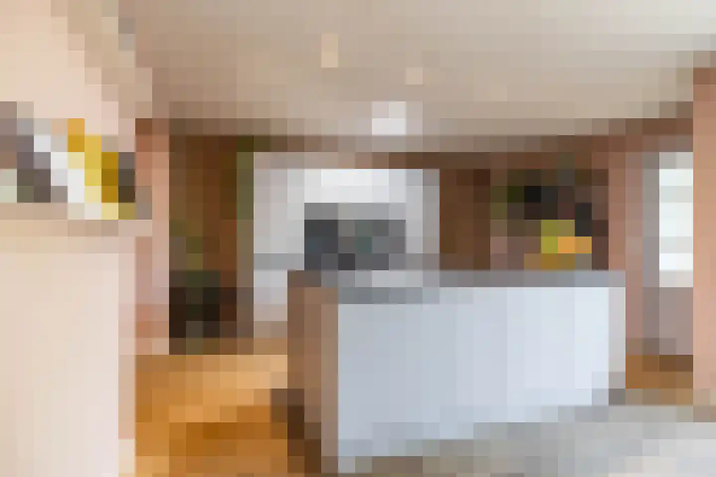 Oude Anloërweg 6 Zuidlaren thumbnail 27