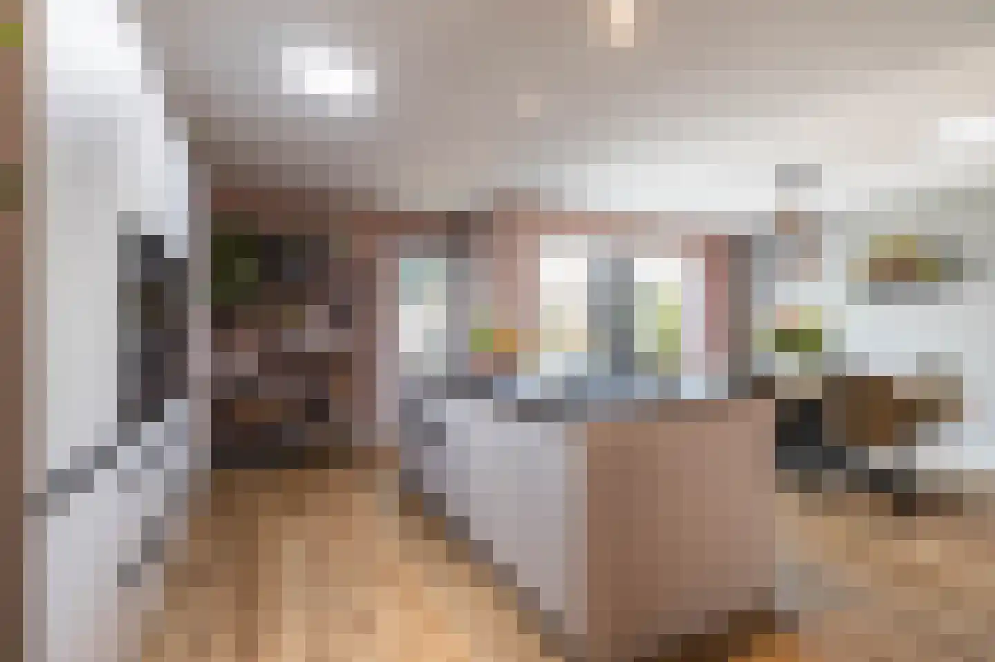 Oude Anloërweg 6 Zuidlaren thumbnail 30