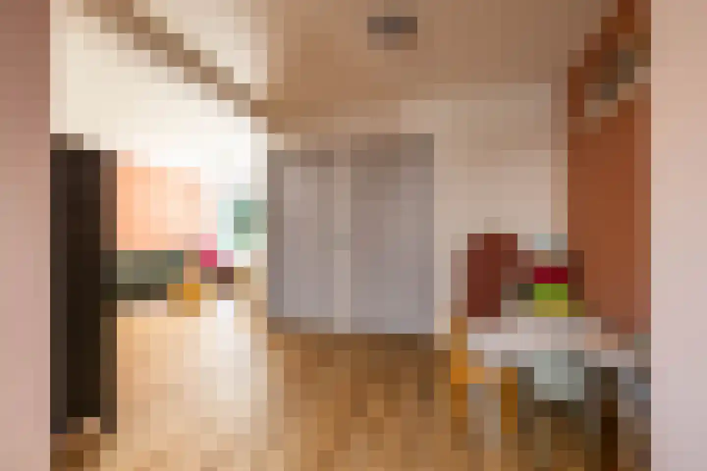 Oude Anloërweg 6 Zuidlaren thumbnail 32