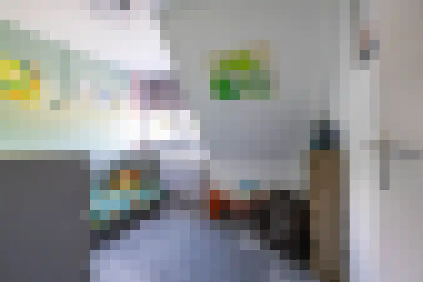 Oude Anloërweg 6 Zuidlaren thumbnail 38