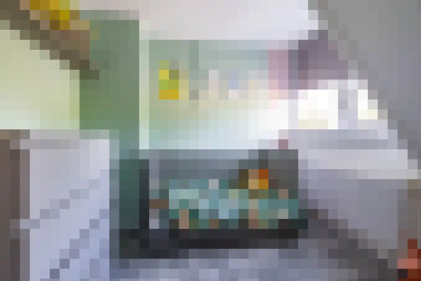 Oude Anloërweg 6 Zuidlaren thumbnail 39