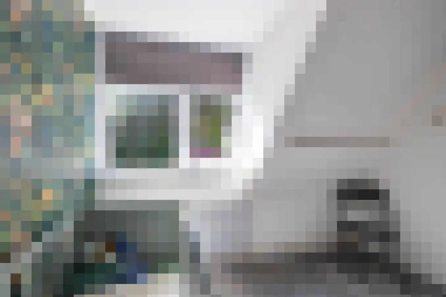 Oude Anloërweg 6 Zuidlaren thumbnail 43