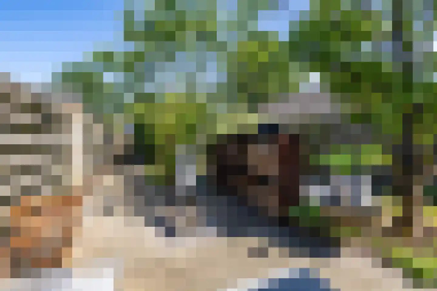 Oude Anloërweg 6 Zuidlaren thumbnail 54