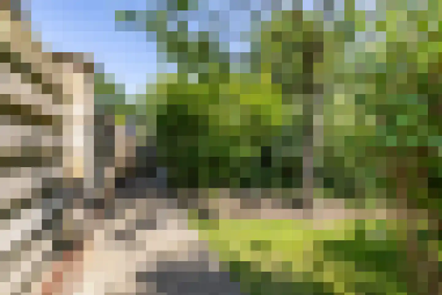 Oude Anloërweg 6 Zuidlaren thumbnail 55