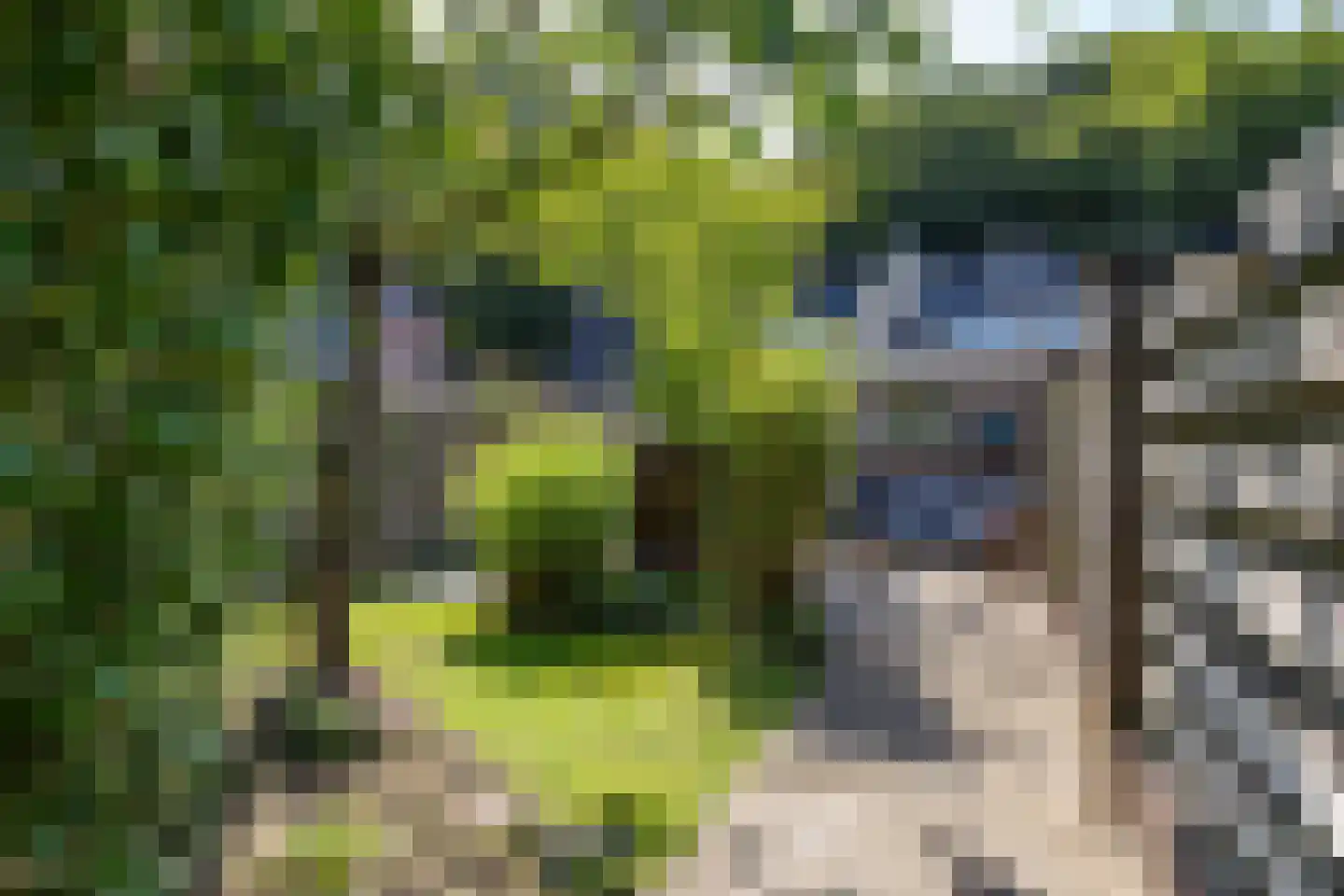 Oude Anloërweg 6 Zuidlaren thumbnail 57