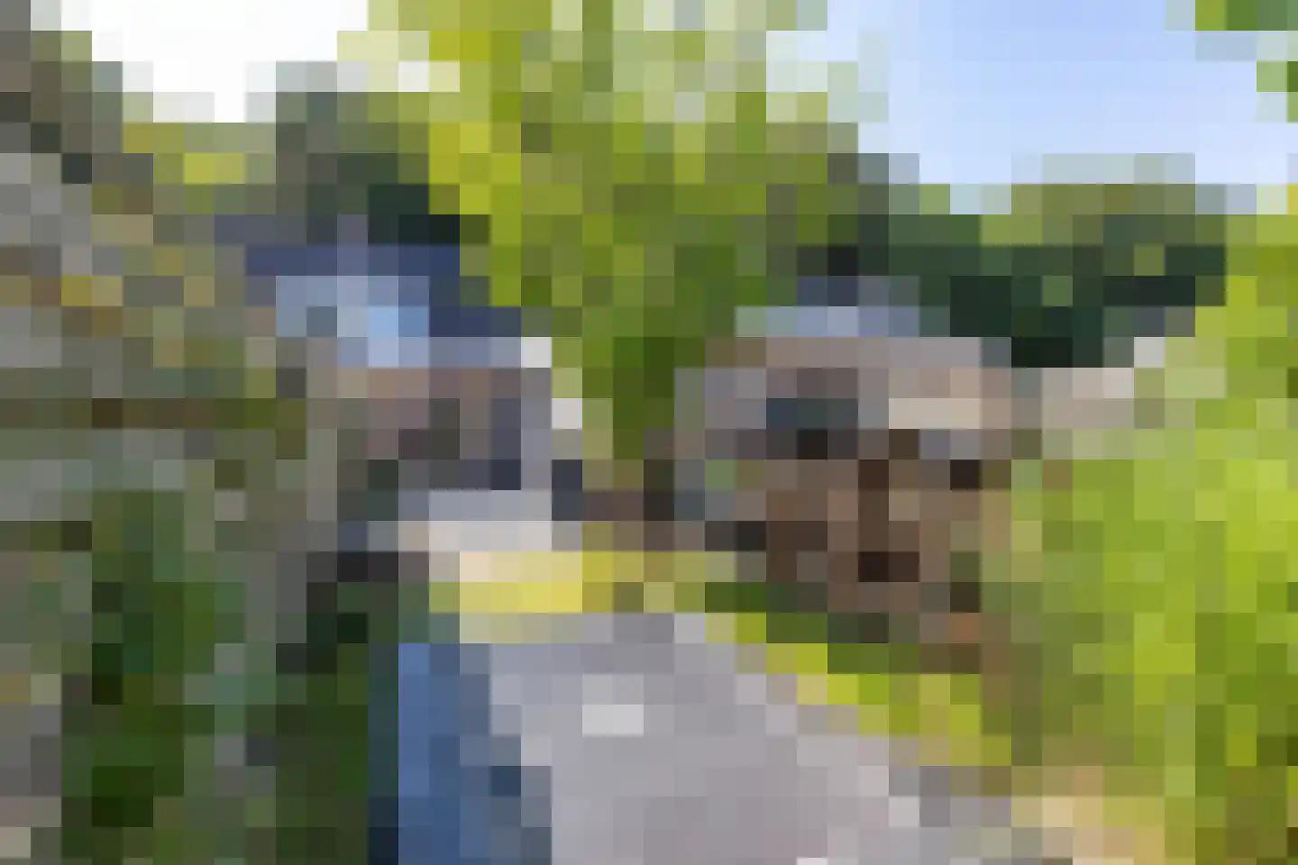Oude Anloërweg 6 Zuidlaren thumbnail 58