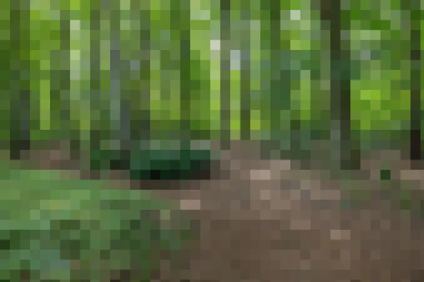 Oude Anloërweg 6 Zuidlaren thumbnail 64