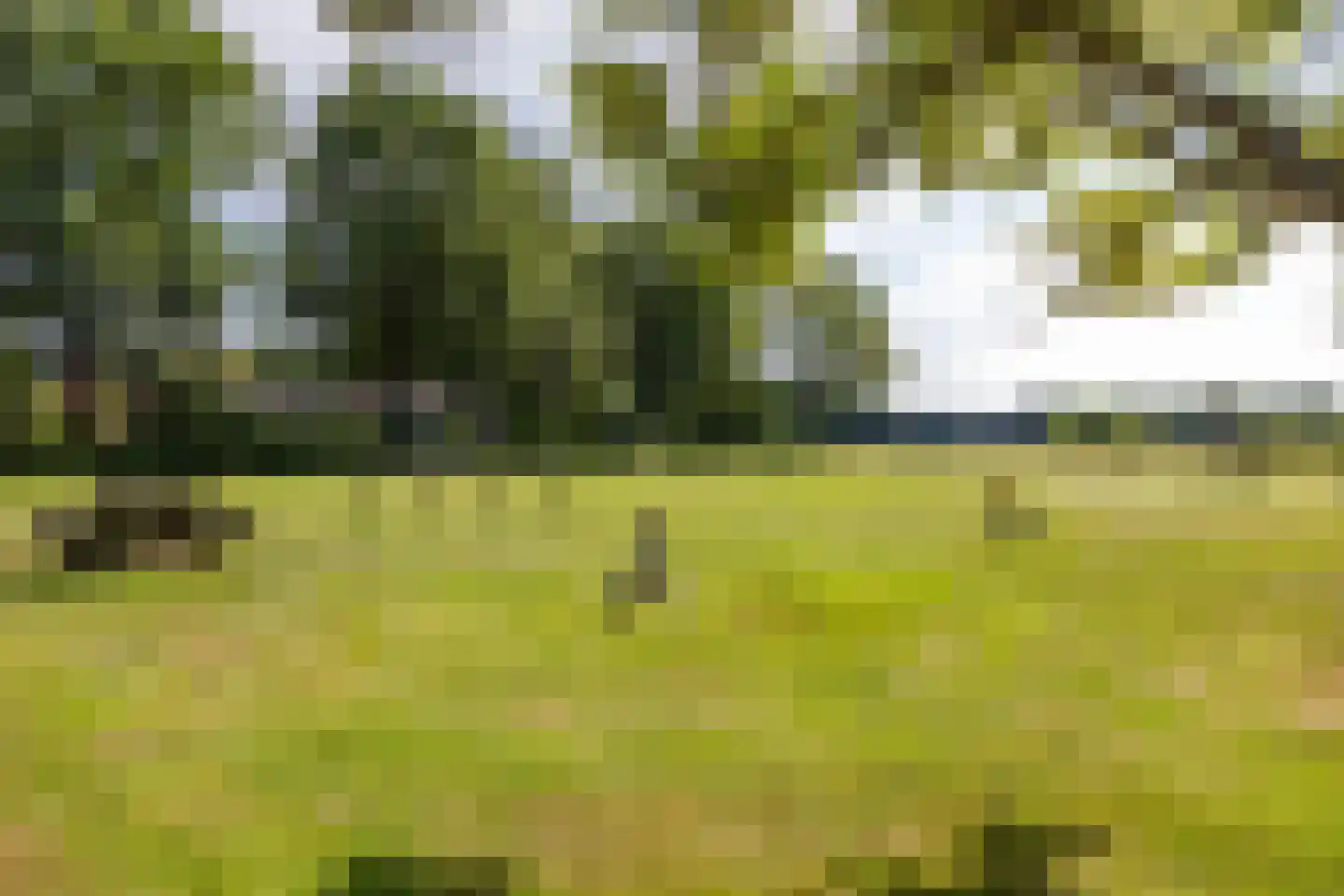 Oude Anloërweg 6 Zuidlaren thumbnail 65